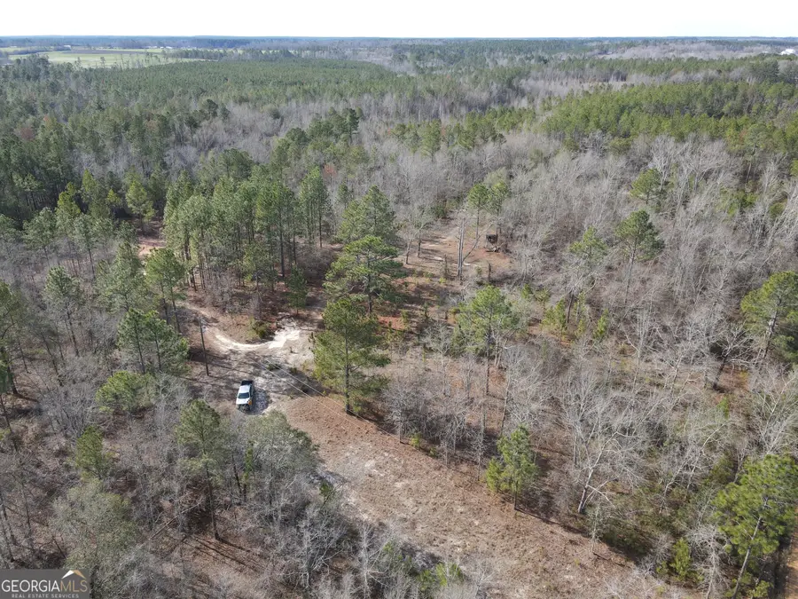 0 Asa Lindsey Road, Kite, GA 31049 - Image #3