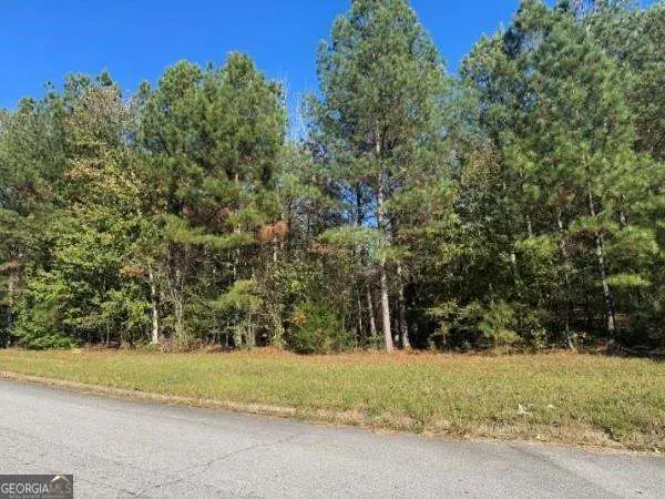 4020 Gold Springs Pass, Villa Rica, GA 30180 - #3