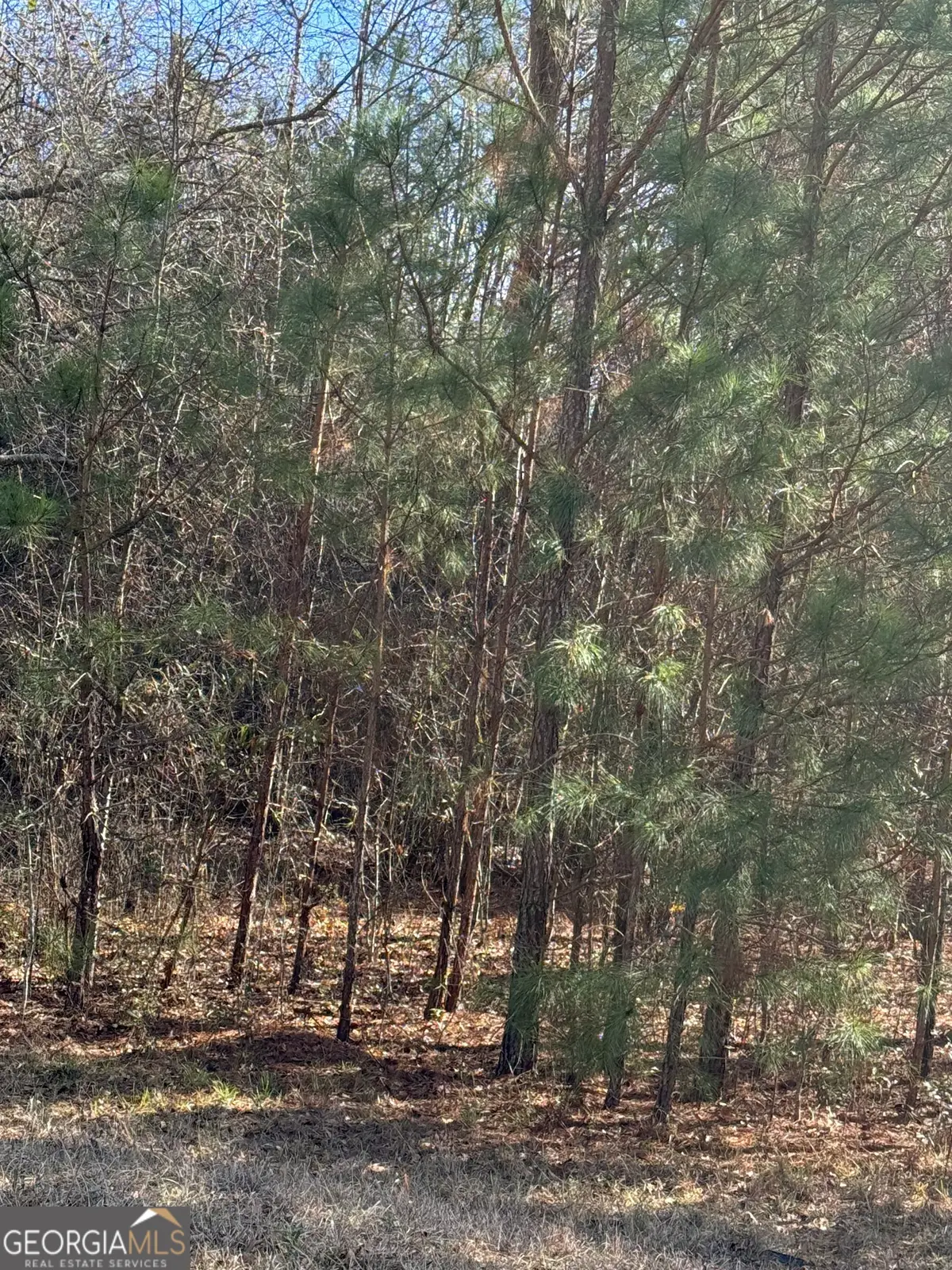 13905 Brown Bridge Road, Covington, GA 30016 - #1