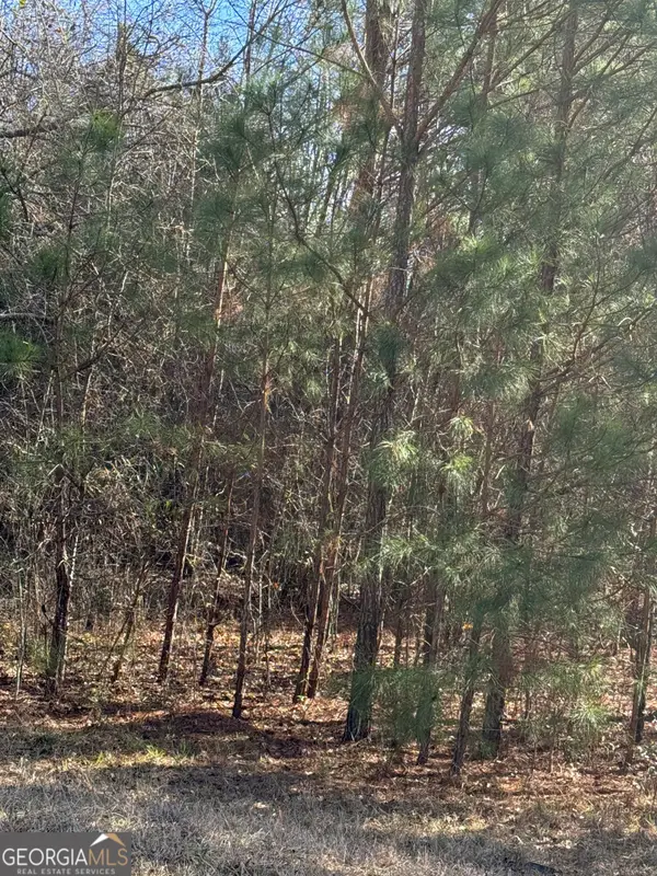 13905 Brown Bridge Road, Covington, GA 30016