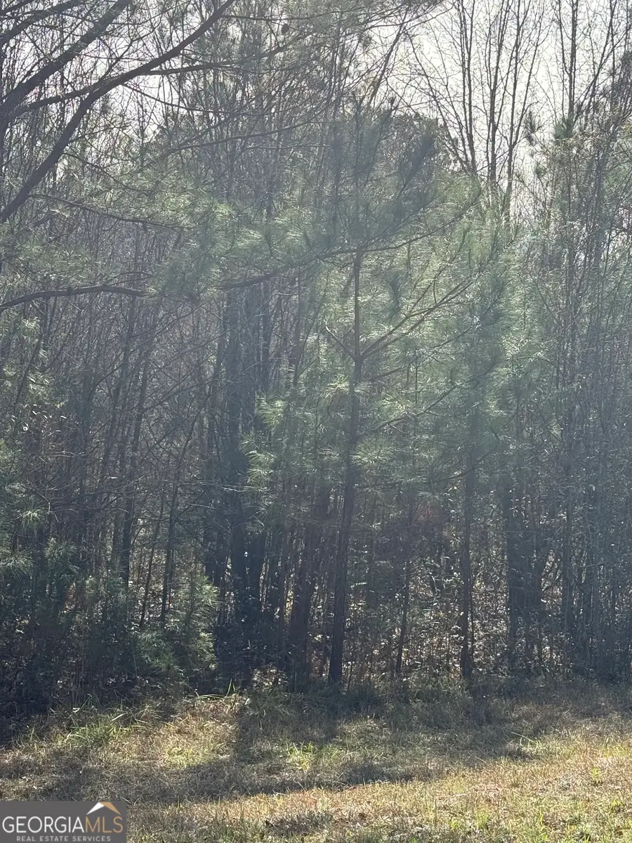 13905 Brown Bridge Road, Covington, GA 30016 - #2