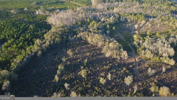 3376 Pine Cone Trail, Mershon, GA 31551