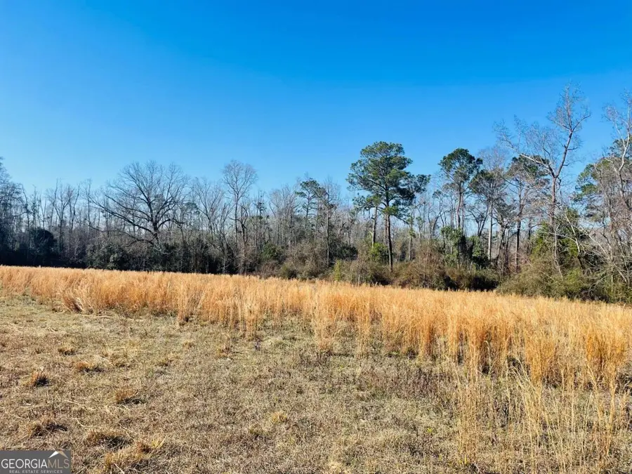 16.59AC Rosemont Road, Glennville, GA 30427 - Image #2