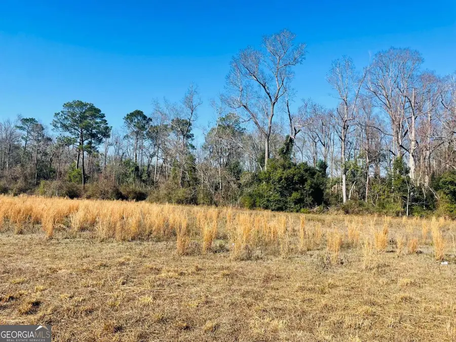 16.59AC Rosemont Road, Glennville, GA 30427 - Image #3