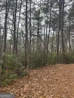 0 Winchester Creek, Young Harris, GA 30582 - #2