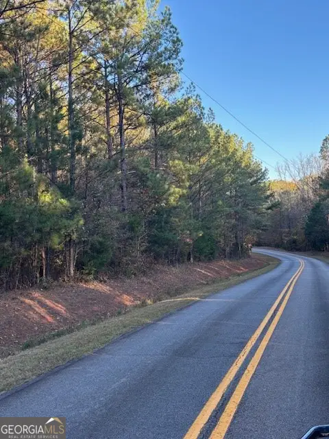 0 Brown Creek Road, Shiloh, GA 31826 - #2