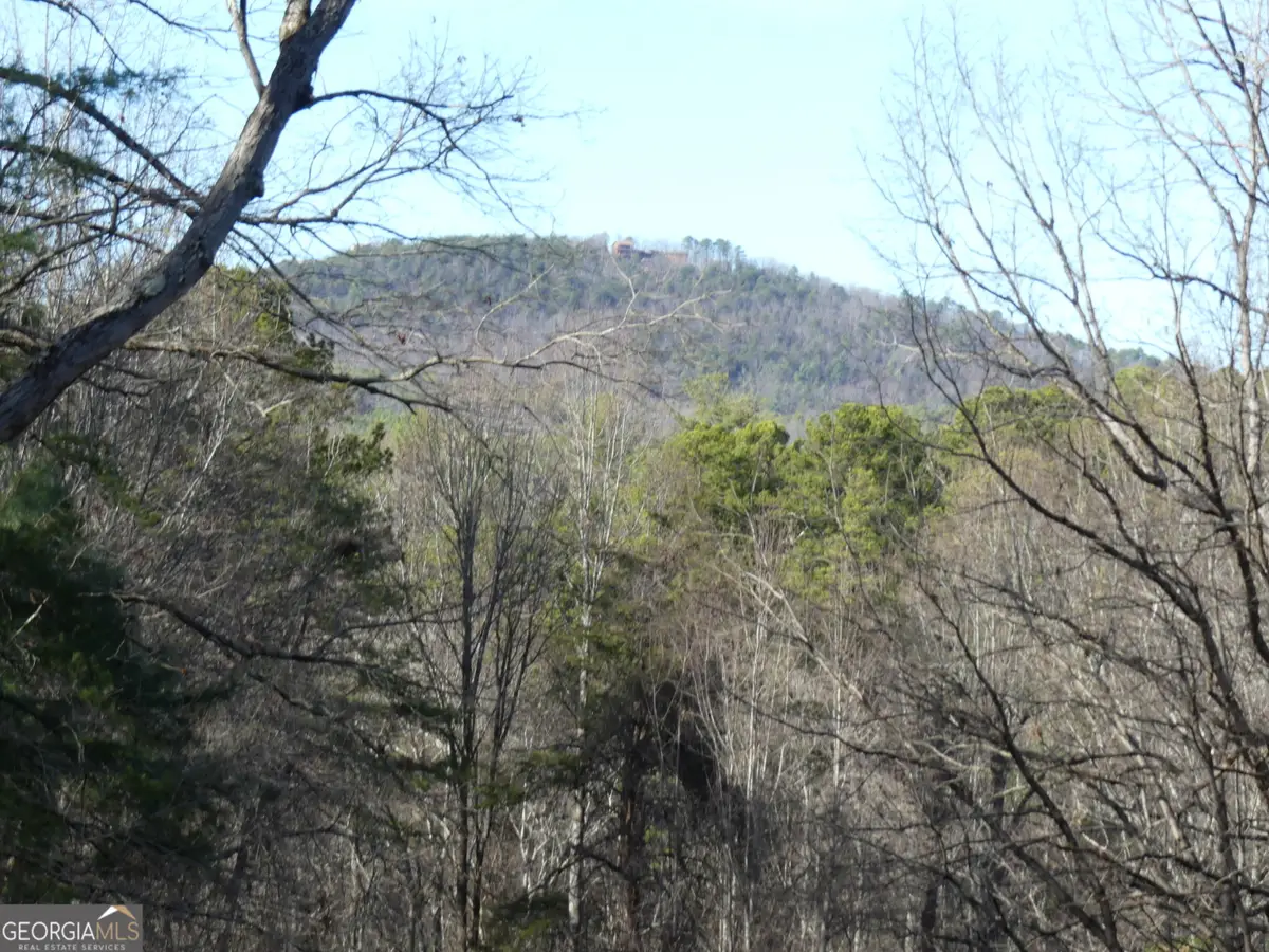 225 Hilltop Lane, Clarkesville, GA 30523 - Image #1