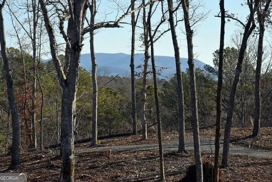 170 Oak Wood Lane, Ellijay, GA 30540 - Image #2