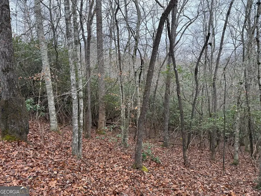 LOT 24 Ideal Acres, Otto, NC 28763 - Image #3