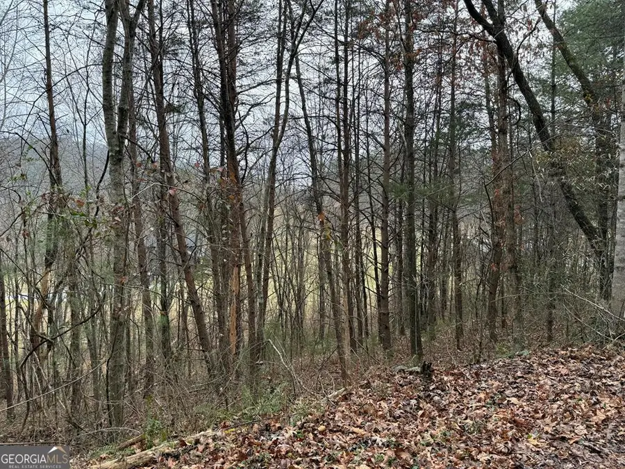 LOT 29 Ideal Acres Road, Otto, NC 28763 - Image #3