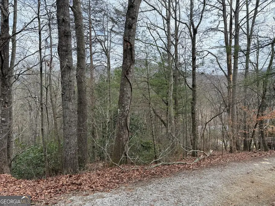 LOT 31 Ideal Acres, Otto, NC 28763 - Image #3