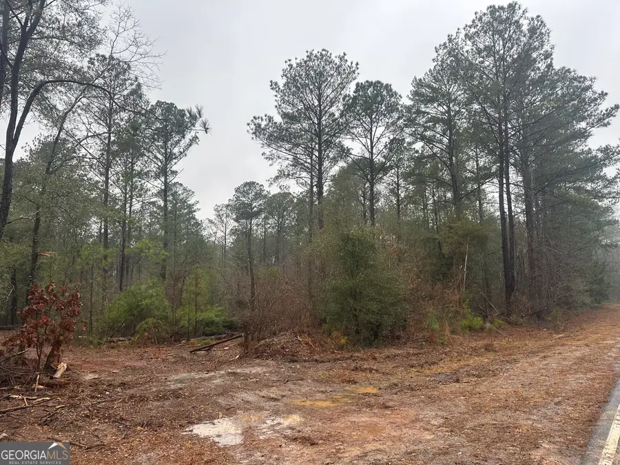 12.35 +/- AC White Road, Pine Mountain, GA 31822 - #3