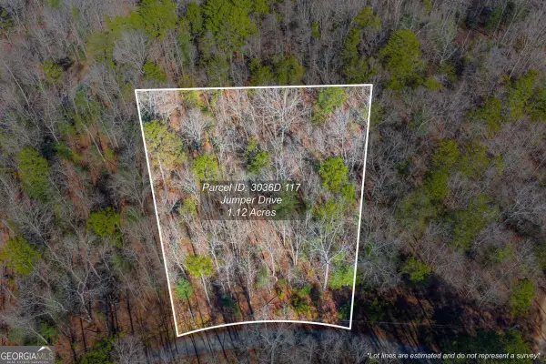 LOT 117 Jumper Drive, Ellijay, GA 30540