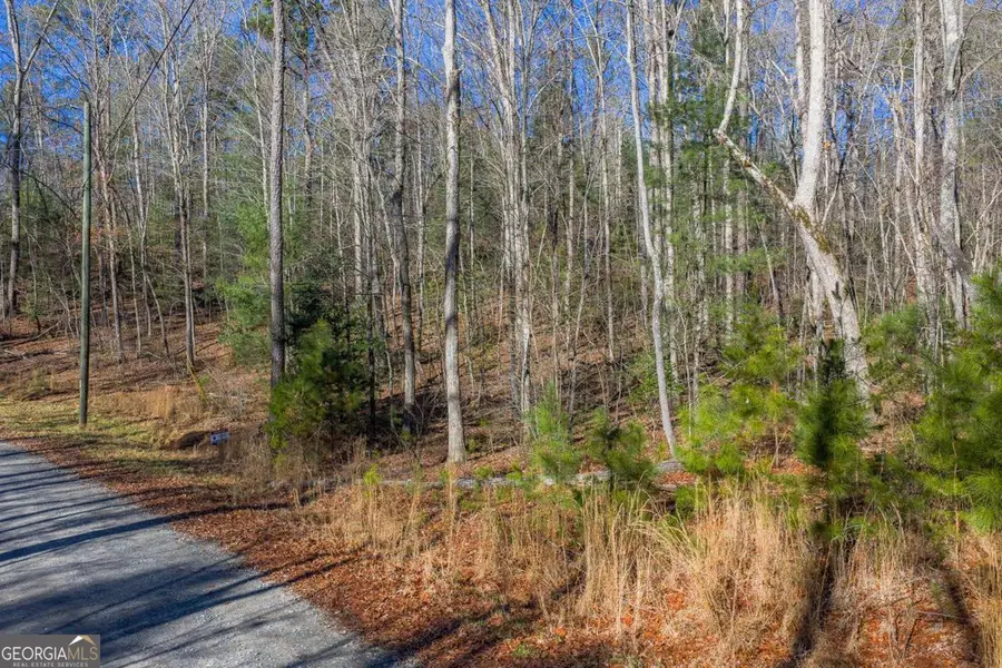 LOT 117 Jumper Drive, Ellijay, GA 30540 - Image #2