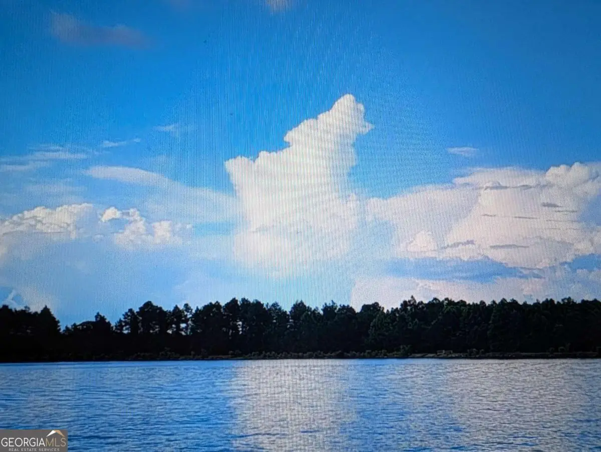 0 Jimmie Ree Lane, Bristol, GA 31518 - Image #1