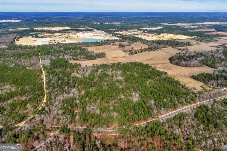 0 Moores Chapel Road, Mauk, GA 31058 - Image #2