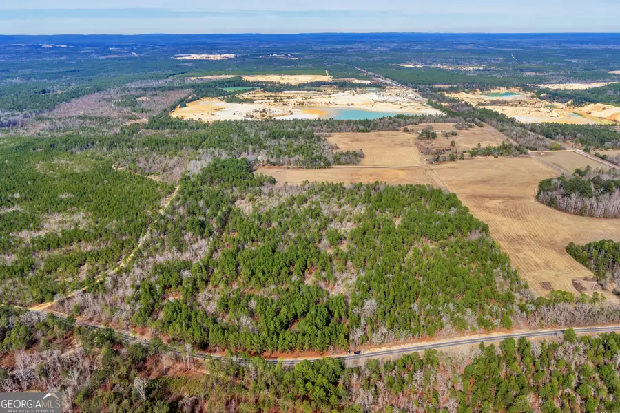 0 Moores Chapel Road, Mauk, GA 31058 - Image #3