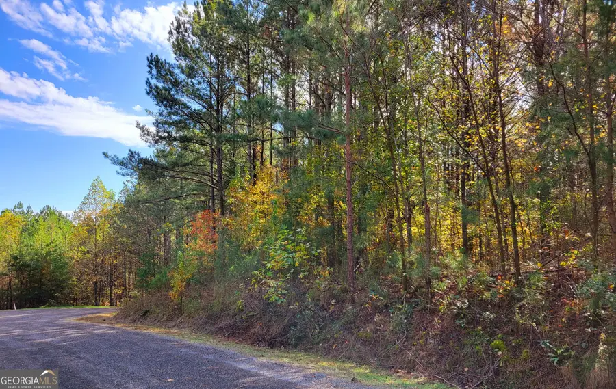 LOT 7 Ridge Top Drive #7, Ellijay, GA 30536 - Image #3