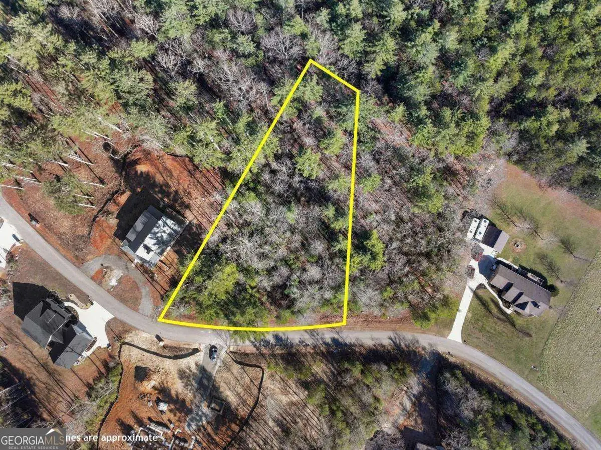 0 Nathaniels Way, Blairsville, GA 30512 - Image #1