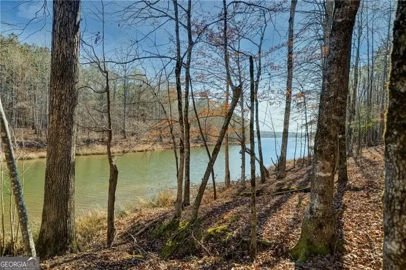 689 Moccasin Gap Road, Jackson, GA 30233 - Image #2