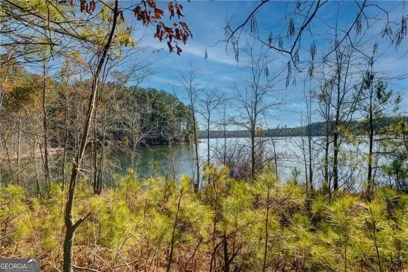 697 Moccasin Gap Road, Jackson, GA 30233 - Image #2
