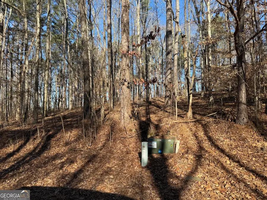 102 Brook Hollow Lake Trail, Cumming, GA 30028 - Image #3