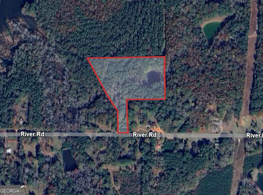 0 River Road, Warm Springs, GA 31830 - Image #3