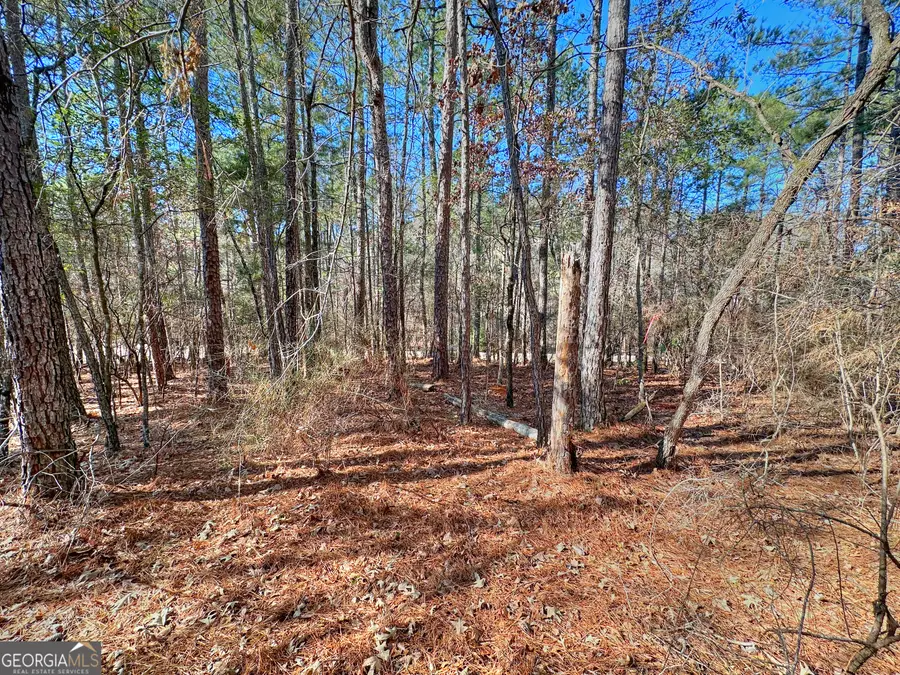 0 Salem Lot 2 Road #LOT 2, Pine Mountain, GA 31822 - Image #2