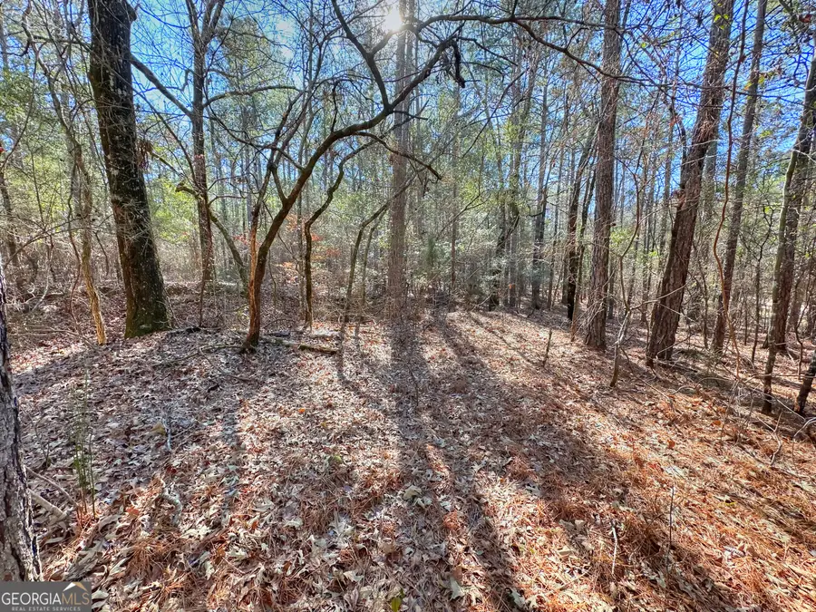 0 Salem Lot 2 Road #LOT 2, Pine Mountain, GA 31822 - Image #3