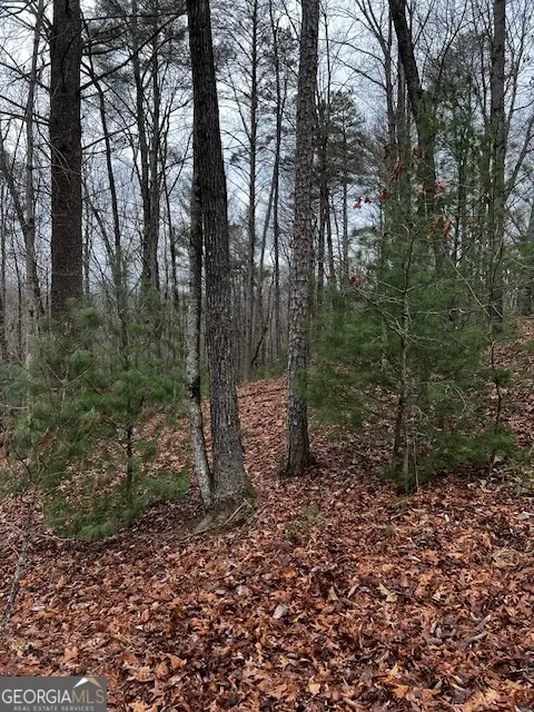 LOT 156 Etowah Drive, Ellijay, GA 30540 - Image #2