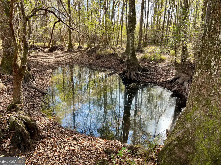 0 Rentz Road, Dublin, GA 31021 - Image #2