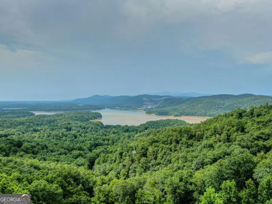 962 Raccoon Ridge Ne, Ranger, GA 30734 - Image #2