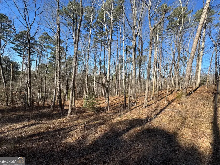 192 Mountain Trail, Martin, GA 30557 - Image #3