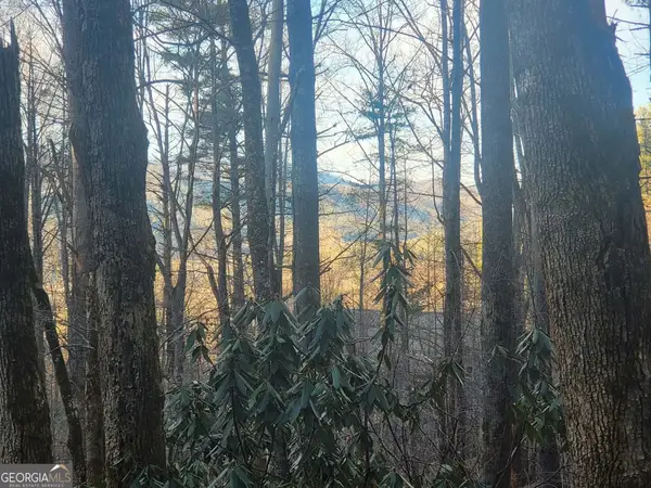 0 LOT 7C Hawkeye Trail, Rabun Gap, GA 30568