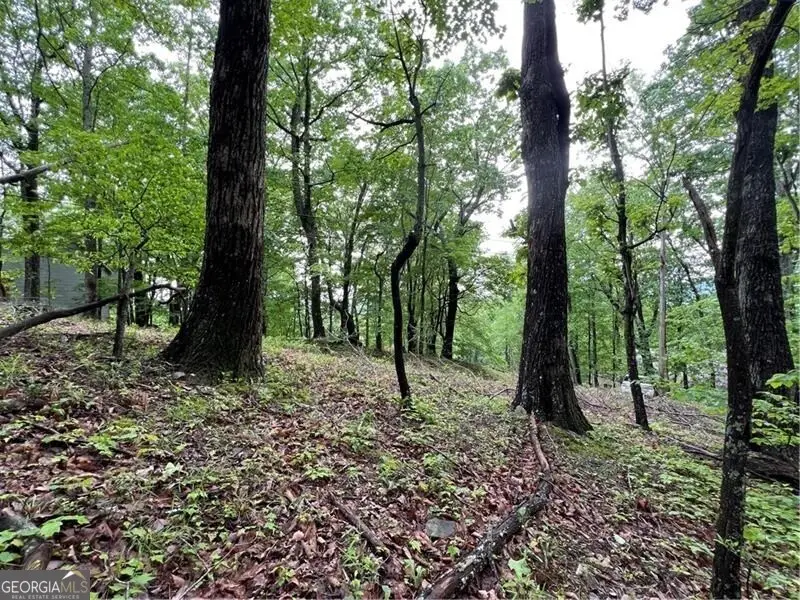 245 Sassafras Mountain Trail, Jasper, GA 30143 - Image #2