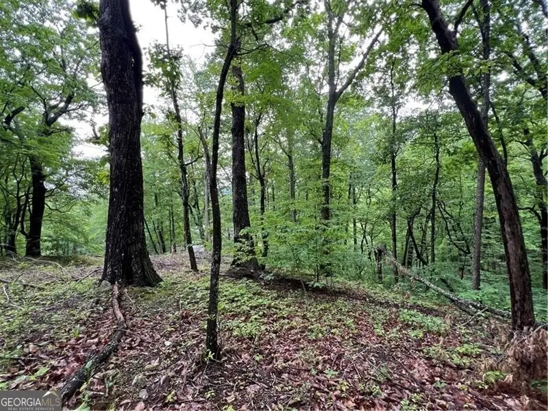 245 Sassafras Mountain Trail, Jasper, GA 30143 - Image #3