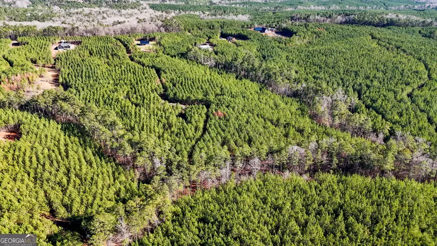 375 Bagley, Forsyth, GA 31029 - Image #3