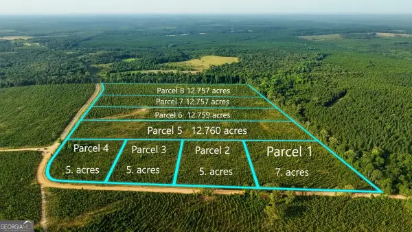 PARCEL 2 Whipporwill Road, Reynolds, GA 31076