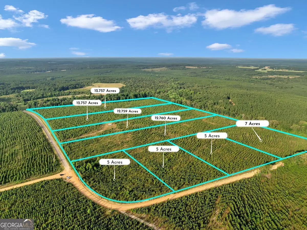 PARCEL 5 Carl Rodgers Road, Reynolds, GA 31076 - Image #1