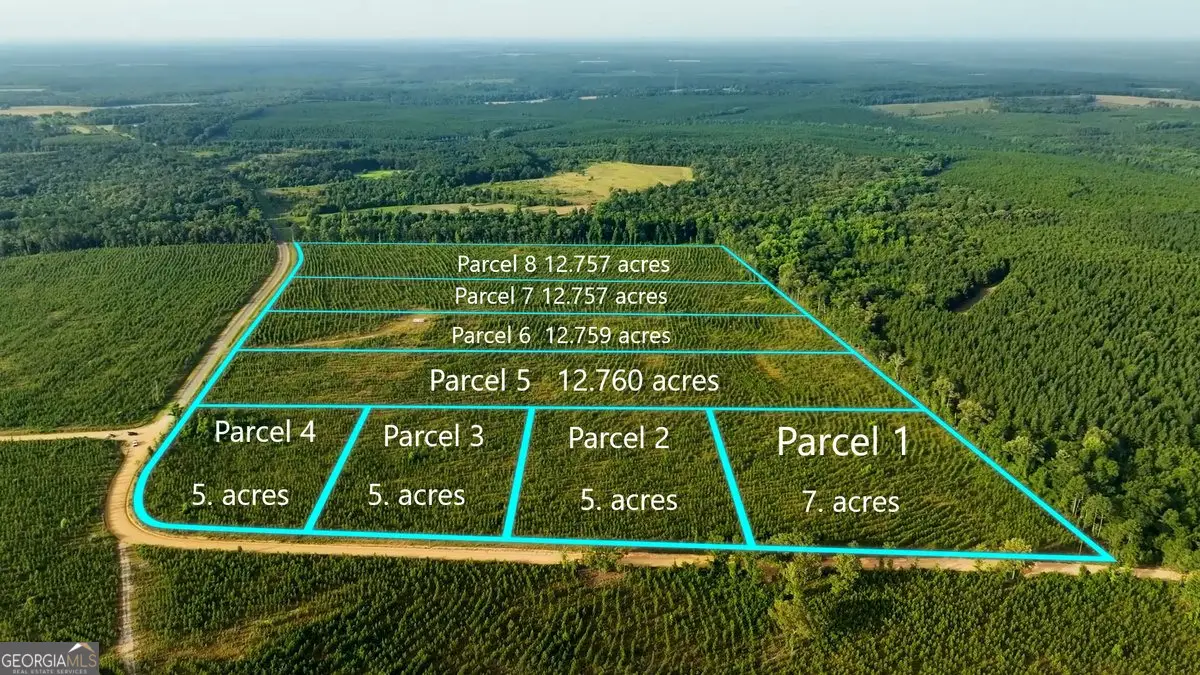 PARCEL 6 Carl Rodgers Road, Reynolds, GA 31076 - Image #1