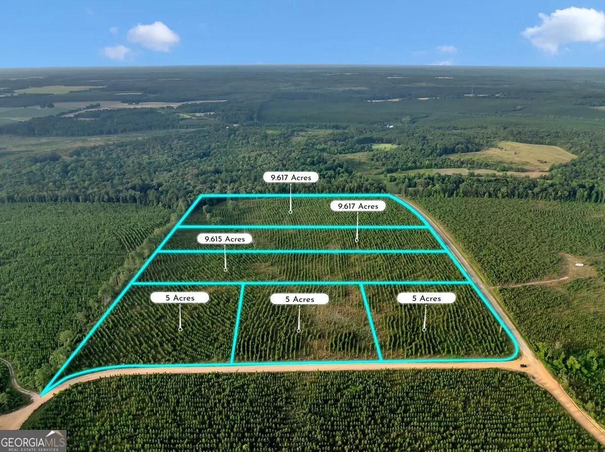 PARCEL 12 Carl Rodgers Road, Reynolds, GA 31076 - Image #1