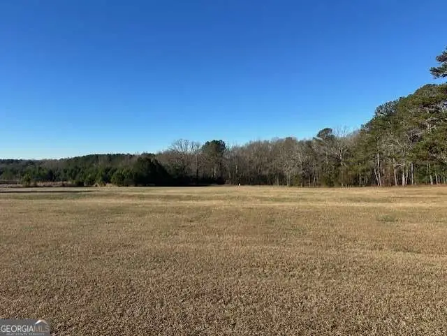 2361 Elder Rd Ext, Bishop, GA 30621 - #2