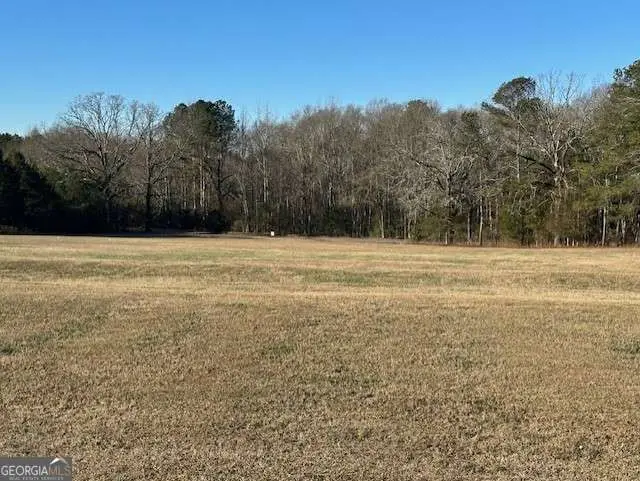 2361 Elder Rd Ext, Bishop, GA 30621 - #3