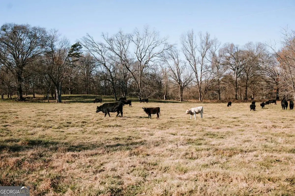 0 Crawfordville Road, Stephens, GA 30667 - Image #1