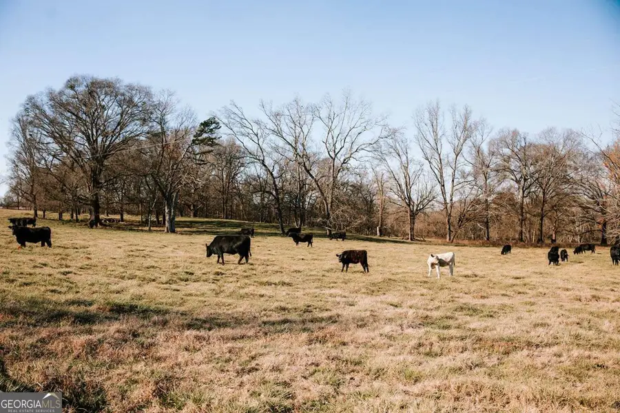 0 Crawfordville Road, Stephens, GA 30667 - Image #2