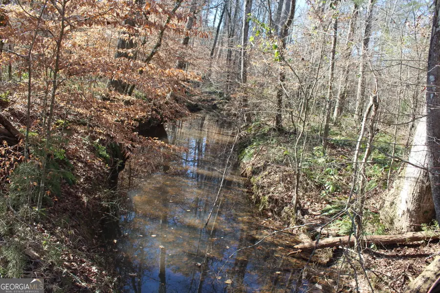 178.235 AC Rocky Mount Road, Luthersville, GA 30251 - Image #2