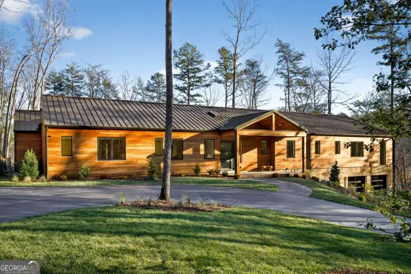 160 Black Ankle Drive, Cherry Log, GA 30522