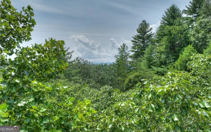 LT 22 Rolling Hills Drive #22, Morganton, GA 30560 - #3