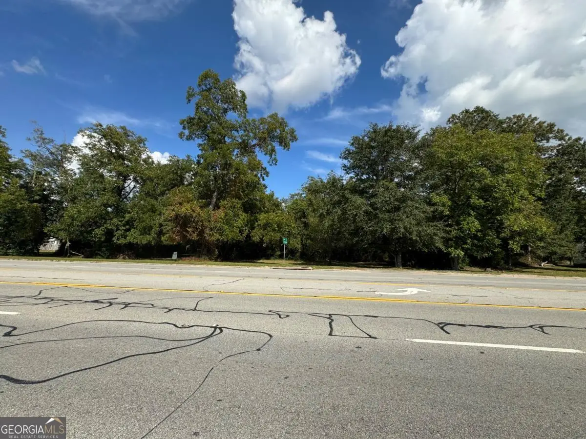 0 Golden Isles Highway, Lumber City, GA 31549 - Image #1