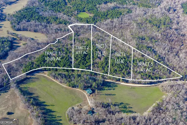 TRACT 2 Dunbar School Road, Williamson, GA 30292